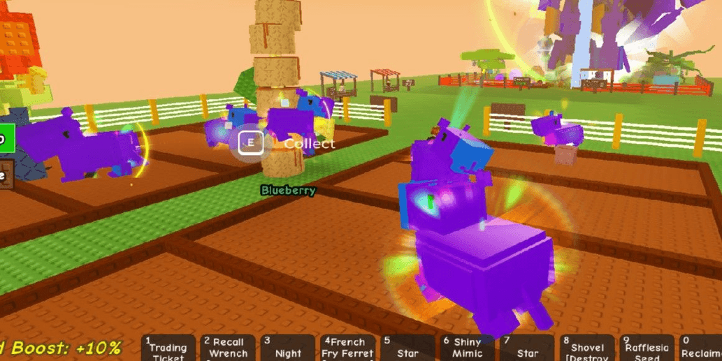 Product Showcase