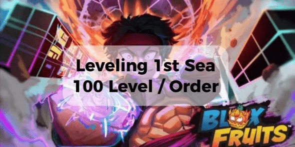 Gambar Product Leveling 1st Sea