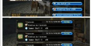 ACCOUNT 1000 STK SUMMER SHELL 2