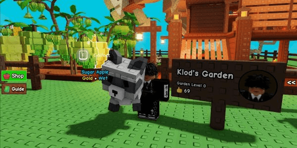 Gambar Product RACCOON || GROW A GARDEN SELL CHEAP + BONUS MIMIC OR QB