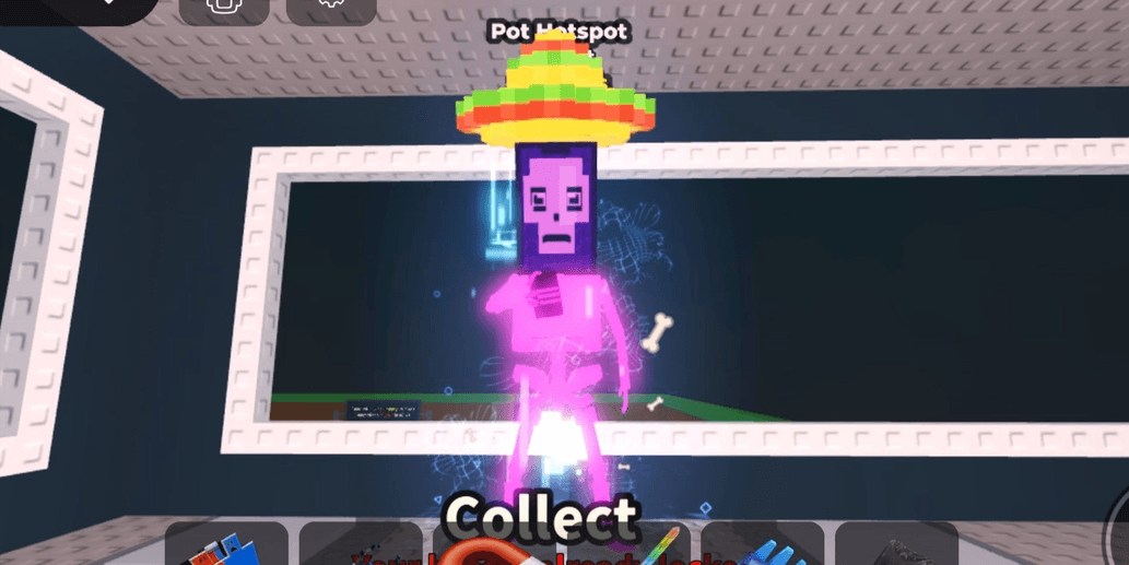 Product Showcase