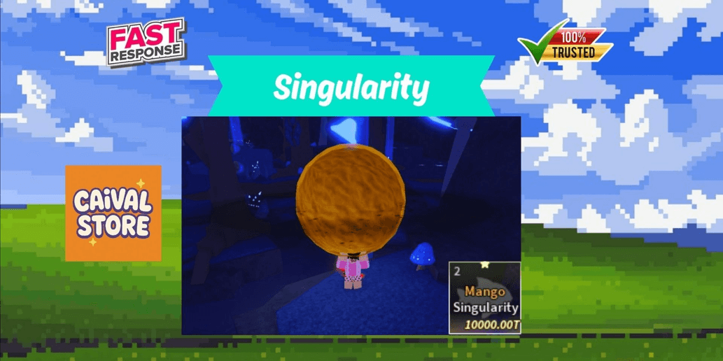 Product Showcase