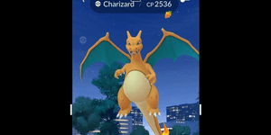 Charizard