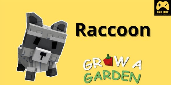 Gambar Product "Raccoon - Grow A Garden"