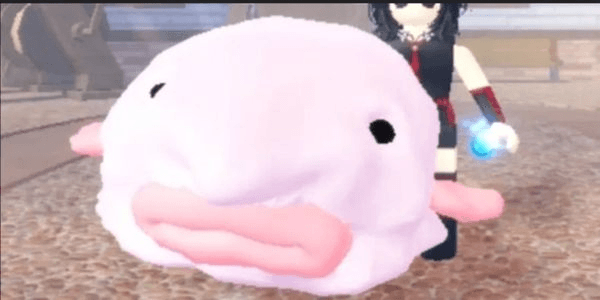 Gambar Product Blob Fish | Fish It