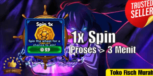 1x Spin