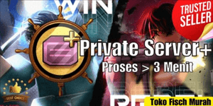 Private Servers+