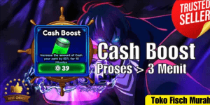 Cash Boost
