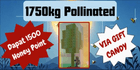 product-image-0