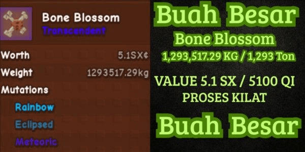 Gambar Product Super Large Bone Blossom Fruit - Grow A Garden