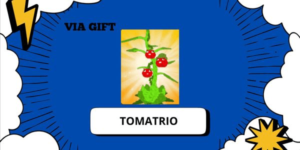 Gambar Product Tomatrio