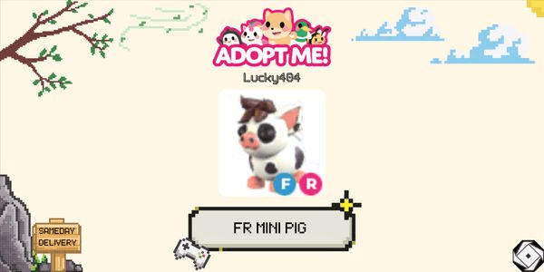 Gambar Product Mini Pig