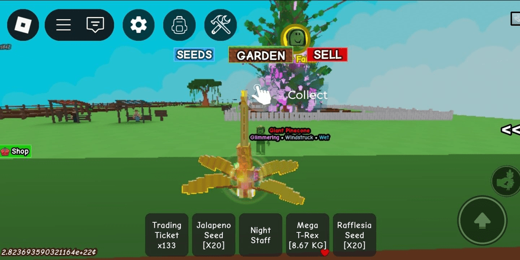 Product Showcase
