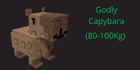 product-image-0