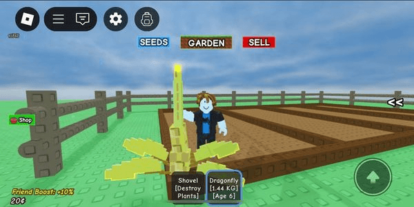 Gambar Product Polosan account contains pet Dragon fly