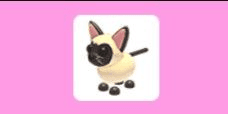 product-image-0