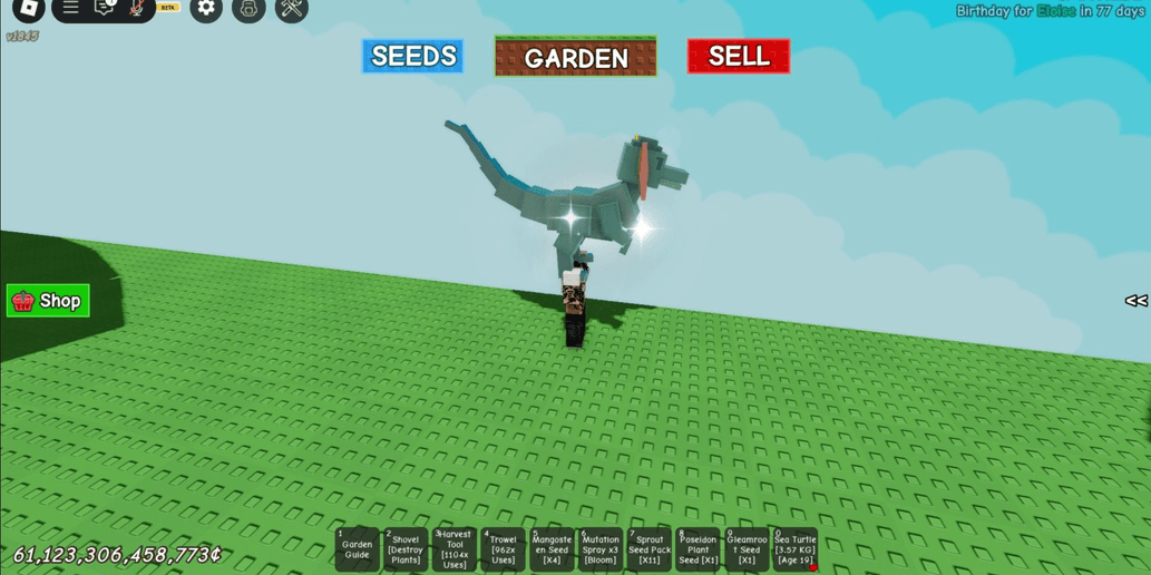 Product Showcase