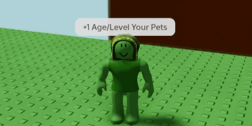 JOKI AGE / LEVELING AGE PET 1 LEVEL/AGE
