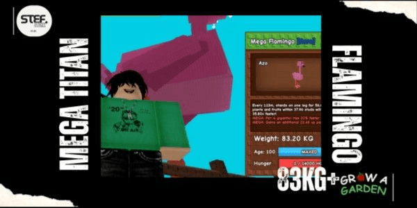 Gambar Product Mega Titan Flamingo| Titan Flamingo