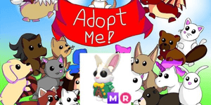 Mr Whiskerpips MR