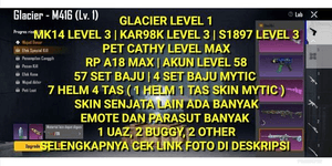 GLACIER LEVEL 1 NEUER SULTAN