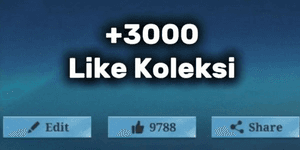 +3000 ไลก์ คอลเลกชัน
