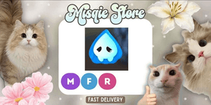 Boohoo MFR