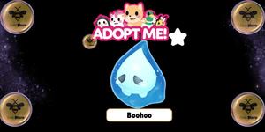 Boohoo