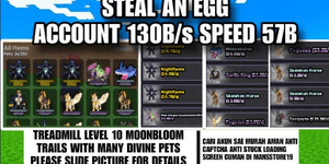 Steal An Egg Account 130B/s Speed 57B With Divine Pets Nightflame 3 And Pink Dragon Check Picture For Details1