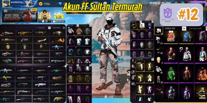 FREE FIRE ACCOUNT AS PER PHOTO #12