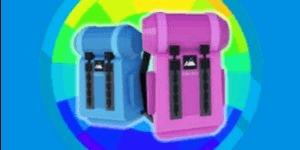 Backpack Colours