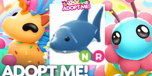 Shark NR