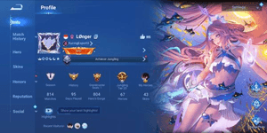 ACCOUNT HOK LUXURY SKIN FULL WARRANTY