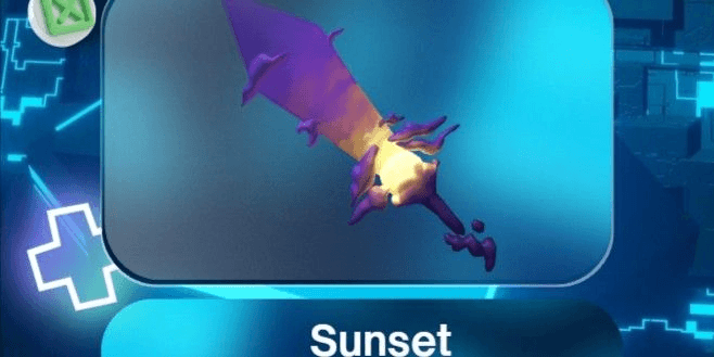 Product Showcase