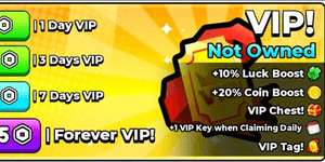 VIP (3 Day)