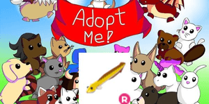 Eel R