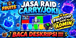 Joki per raid/fragment by Req