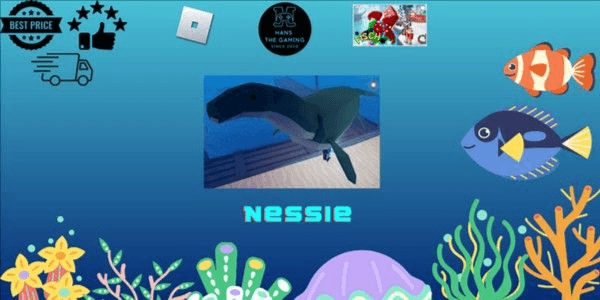 Product Showcase