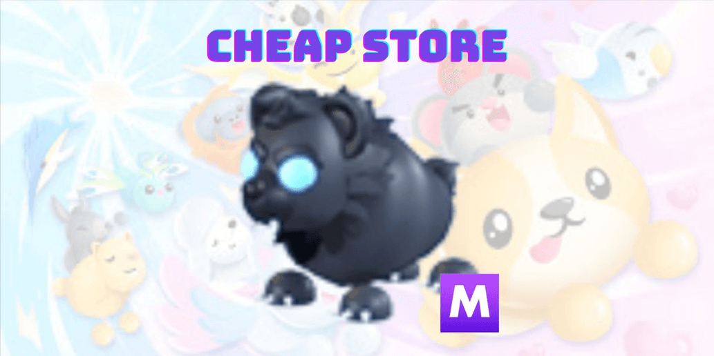 Product Showcase