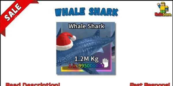 Gambar Product Whale Shark (Boss Fish) | Spear Fishing