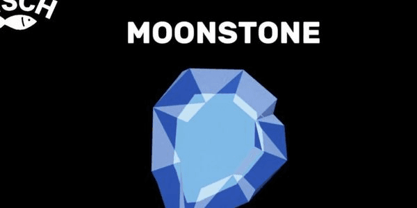 Gambar Product MOONSTONE FISCH