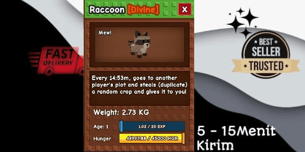 Gambar Product Raccoon