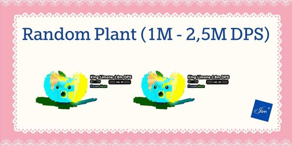 Gambar Product Random Plant (1M - 2.5M DPS)