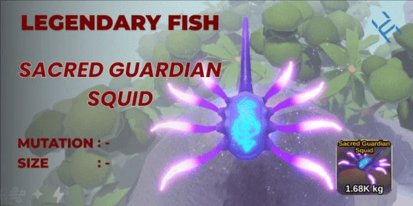 Gambar Product Sacred Guardian Squid
