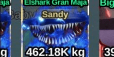 Gambar Product Sandy Elshark Gran Maja