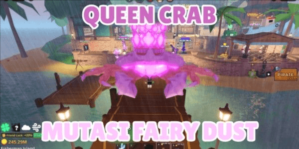 Gambar Product Fairy Dust Queen Crab