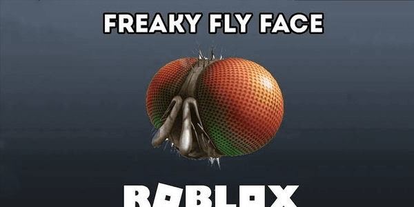 Gambar Product Roblox Freaky Fly Face