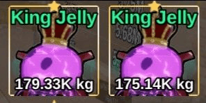 Gambar Product Jelly King