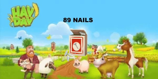 PACKAGE 89 NAILS