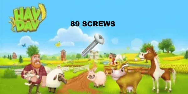 PACKAGE 89 SCREWS